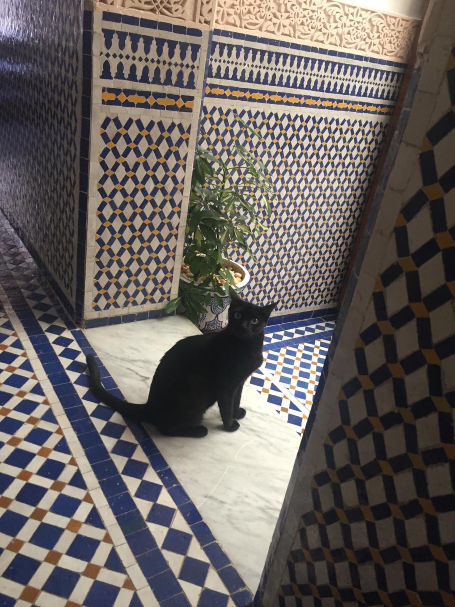 Dar D'Or Fes Hotell Exteriör bild