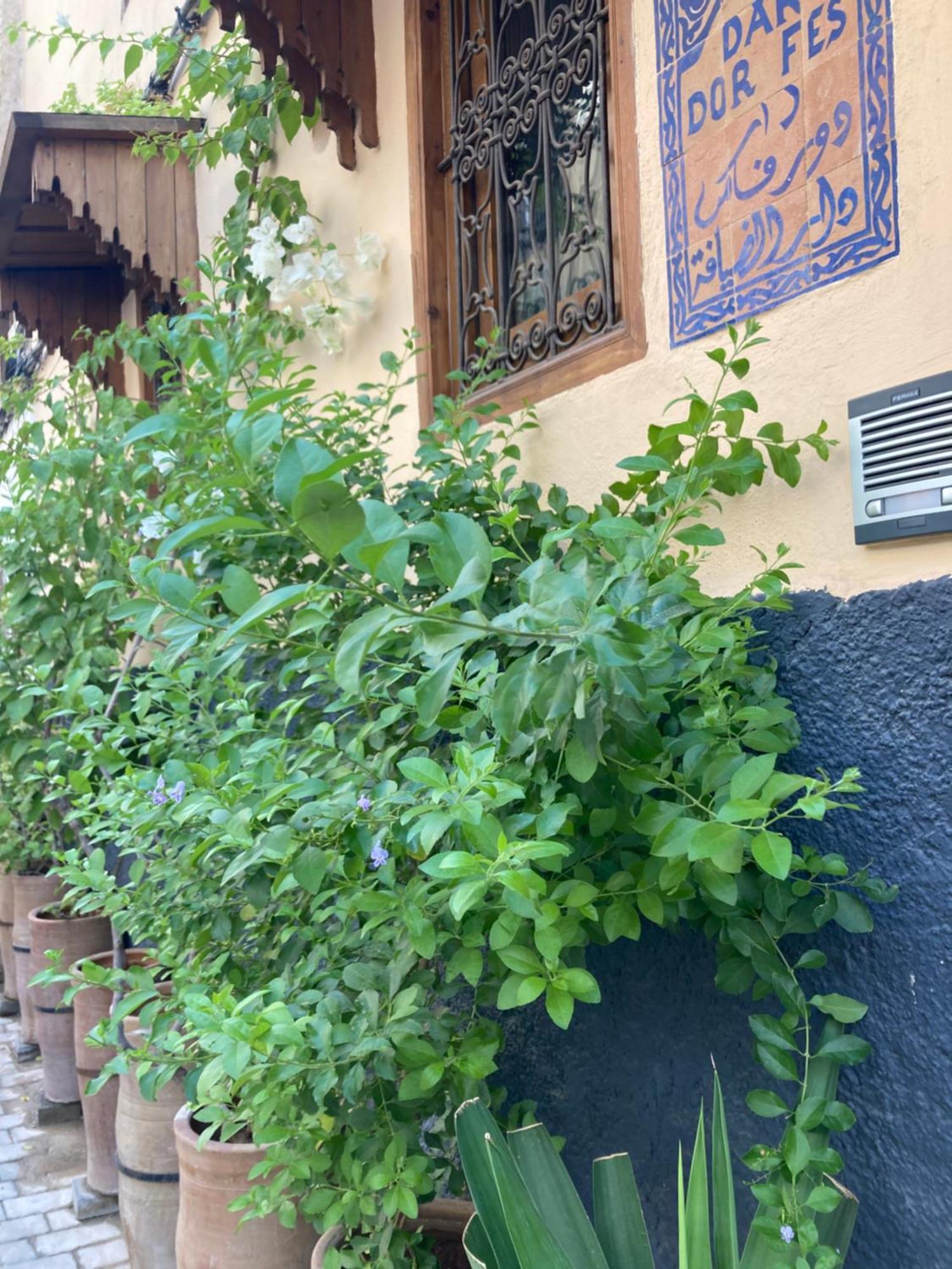 Dar D'Or Fes Hotell Exteriör bild